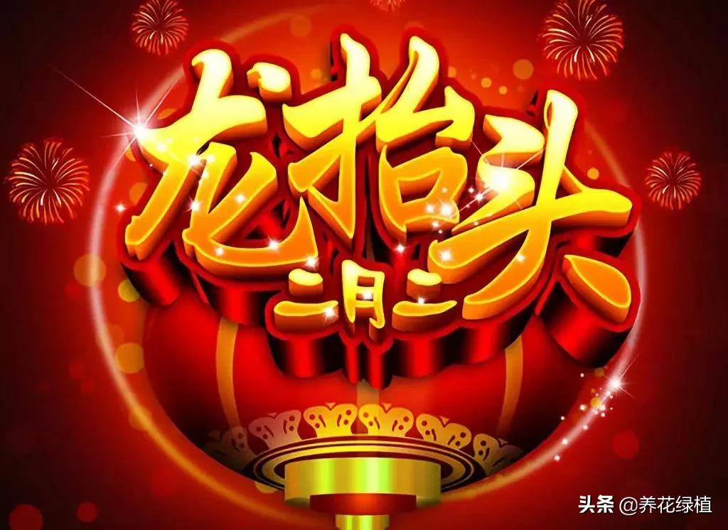龙抬头是什么意_龙抬头是什么意思_抬头龙的寓意