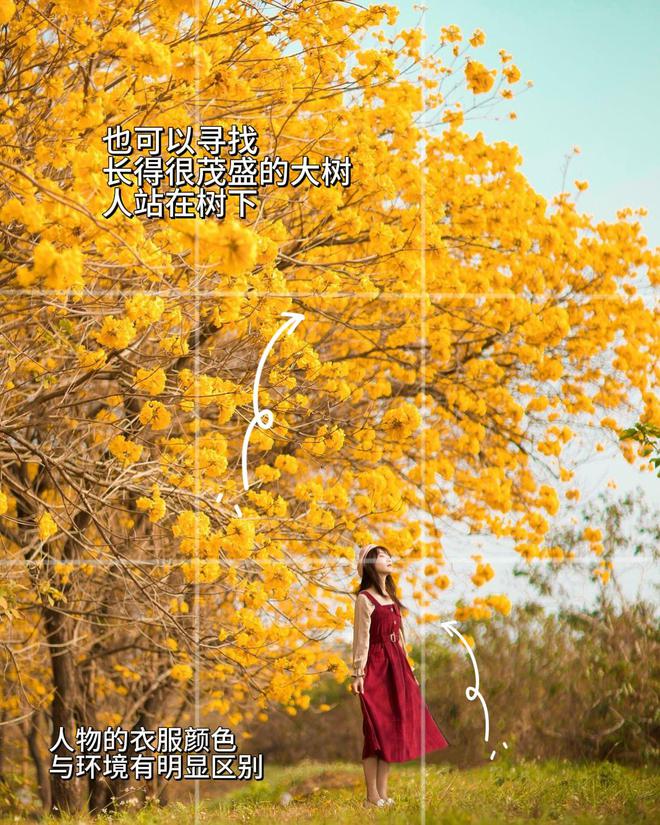 可牛影像官网_可牛影像软件下载_下载可牛影像