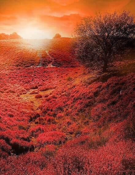 玖竜_玖竜_玖竜