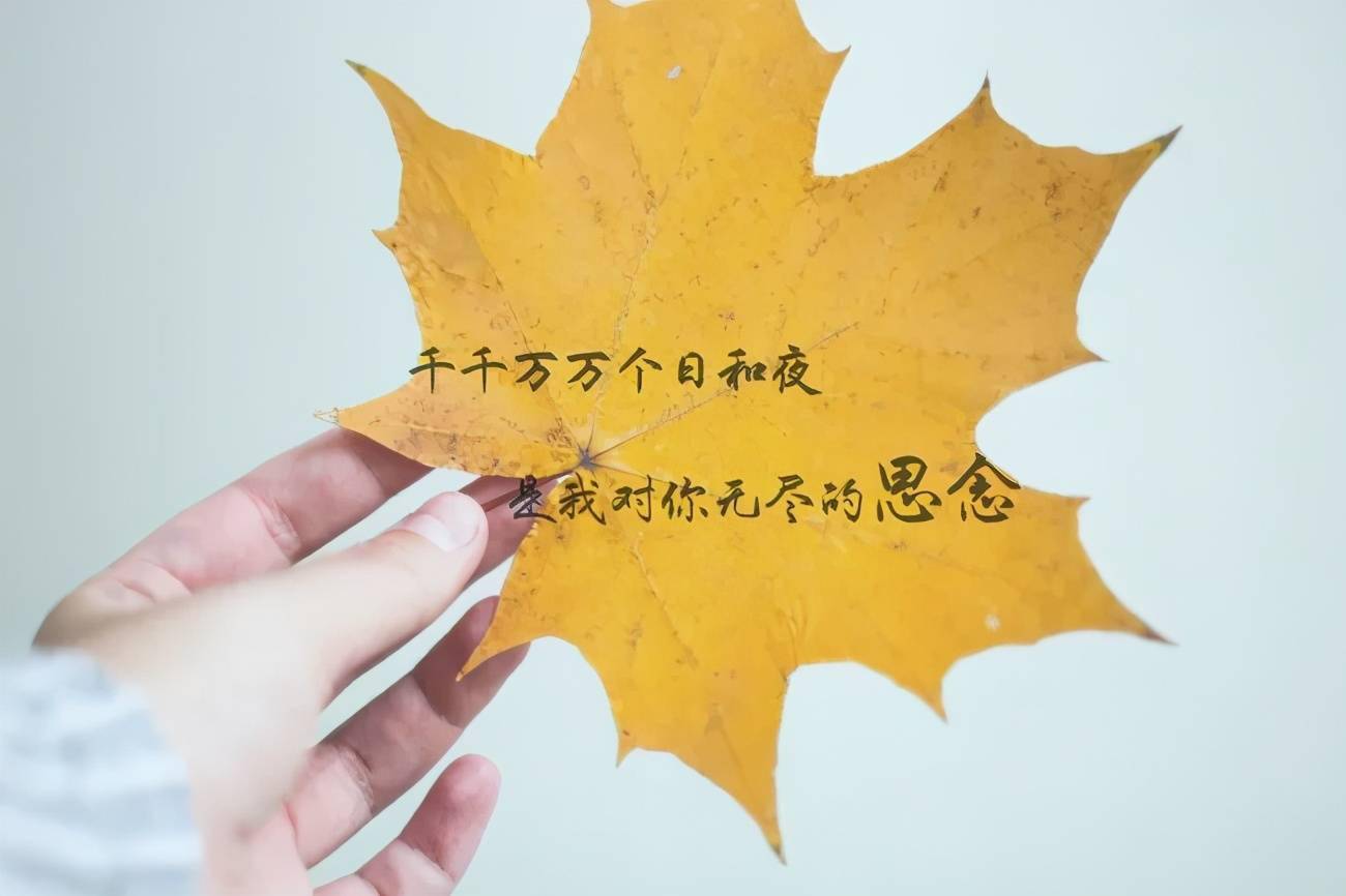 不也挺好的吗_挺好是什么意思_挺好玩的怎么回复