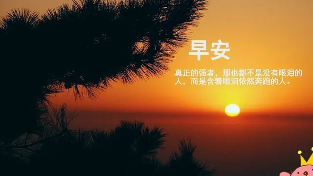 挺好玩的怎么回复_不也挺好的吗_挺好是什么意思