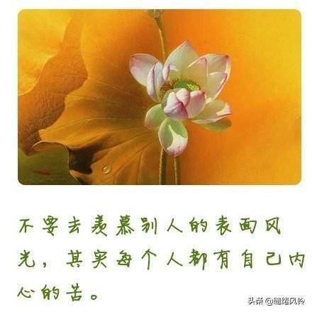 挺好玩的怎么回复_挺好是什么意思_不也挺好的吗