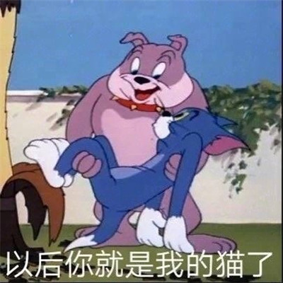 qq体验版是什么意思_小米平板1林萧战终极版体验_qq体验版
