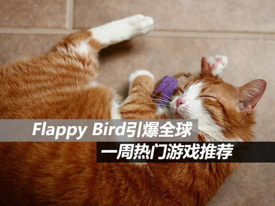 2013年手机游戏_手机游戏年龄限制_手机游戏年龄分布图