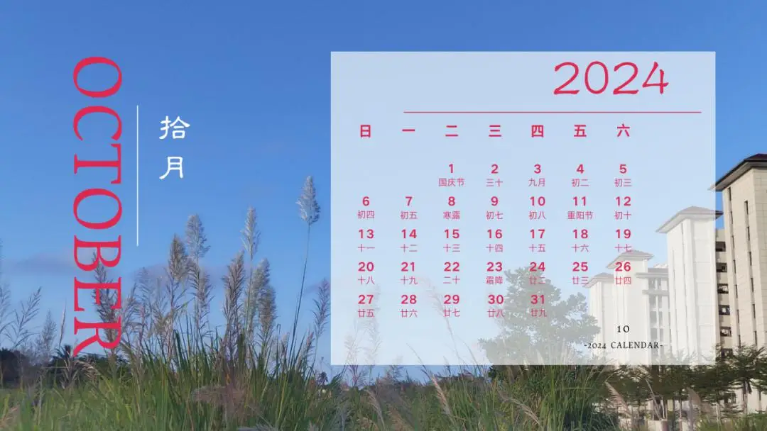 新年是202几年_新年月是什么意思_2024新年是在几月几日