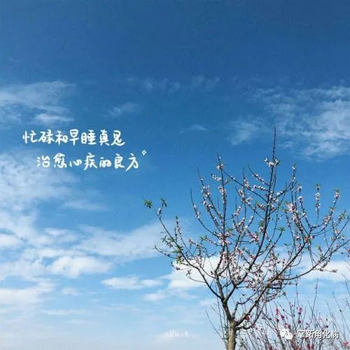 调和的宝牌_调和的宝牌表情包_调和的宝牌在哪个卡盒