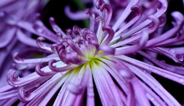 清明节假日_清明节假日法定是几天_清明节假期