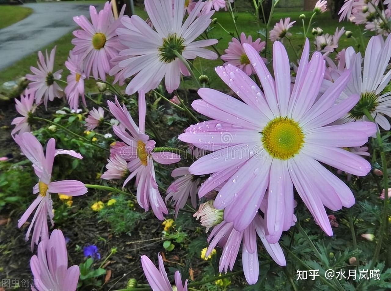 清明节假日法定是几天_清明节假日_清明节假期