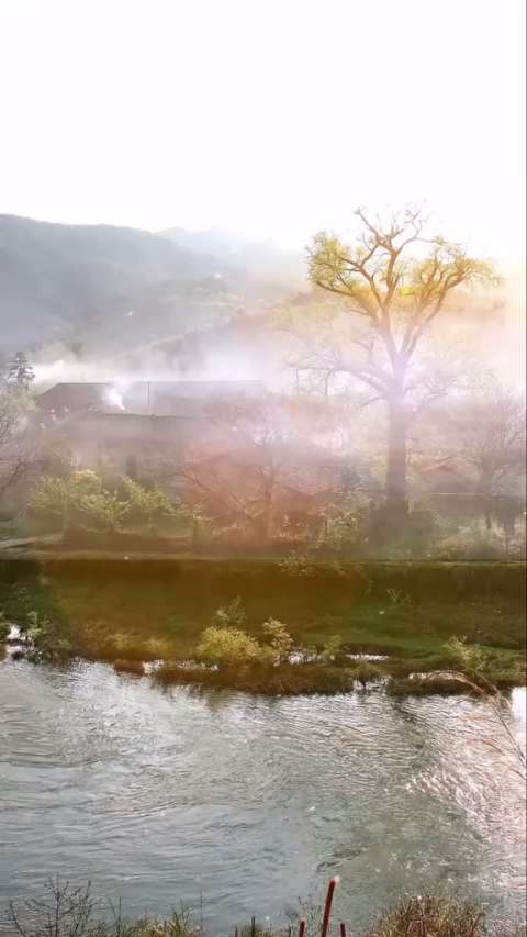 天野るみ_天野侠_天野浩成