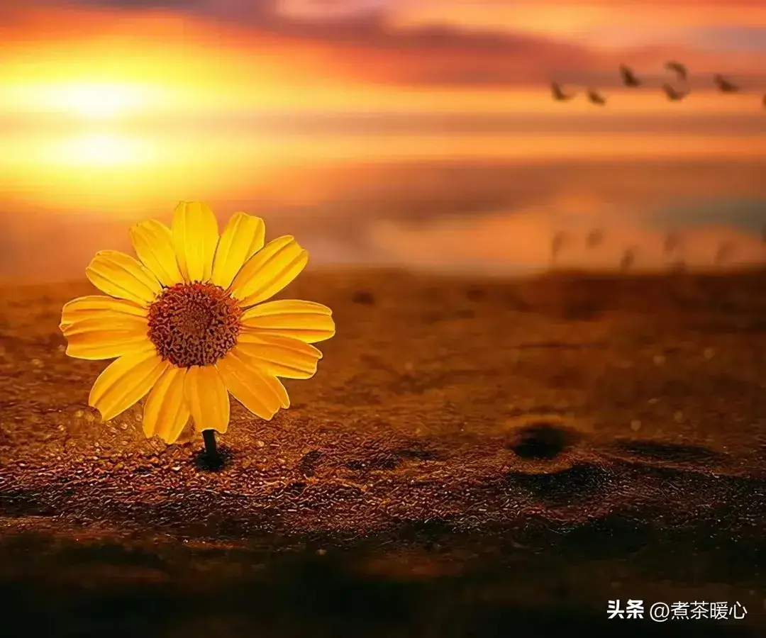 玉森裕太泷织美本绯闻_本梨硔村_泷本梨絵