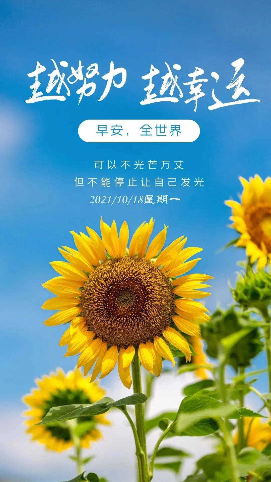 麻里子_麻里子怎么煮_麻里子和阿酱关系好吗