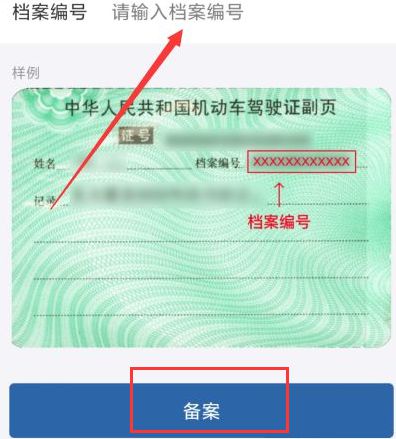 编号档案驾驶证查询怎么查_快速查询驾驶证档案编号_驾驶证档案编号查询