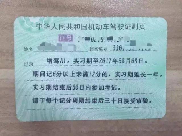 驾驶证档案编号查询_编号档案驾驶证查询怎么查_快速查询驾驶证档案编号