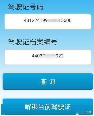 快速查询驾驶证档案编号_编号档案驾驶证查询怎么查_驾驶证档案编号查询