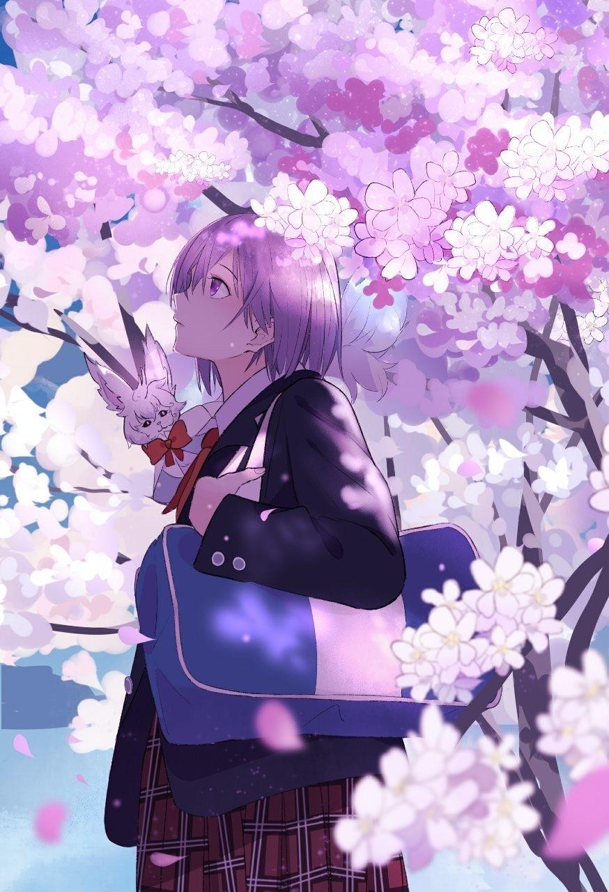 樱花软件_樱花软件_樱花软件