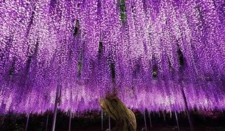 打日本鬼怪的手机游戏_鬼怪日本打手机游戏是哪一集_鬼怪日本打手机游戏视频