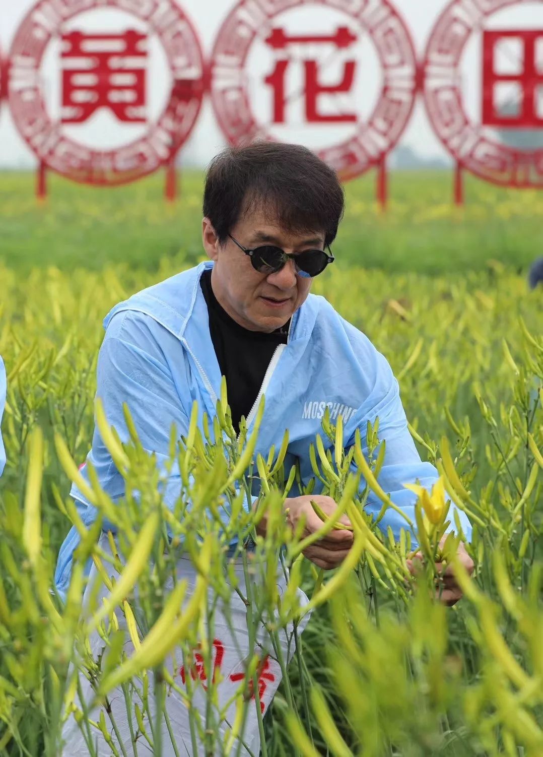 播放成龙游戏_成龙游戏广告是真的吗_成龙关掉手机游戏