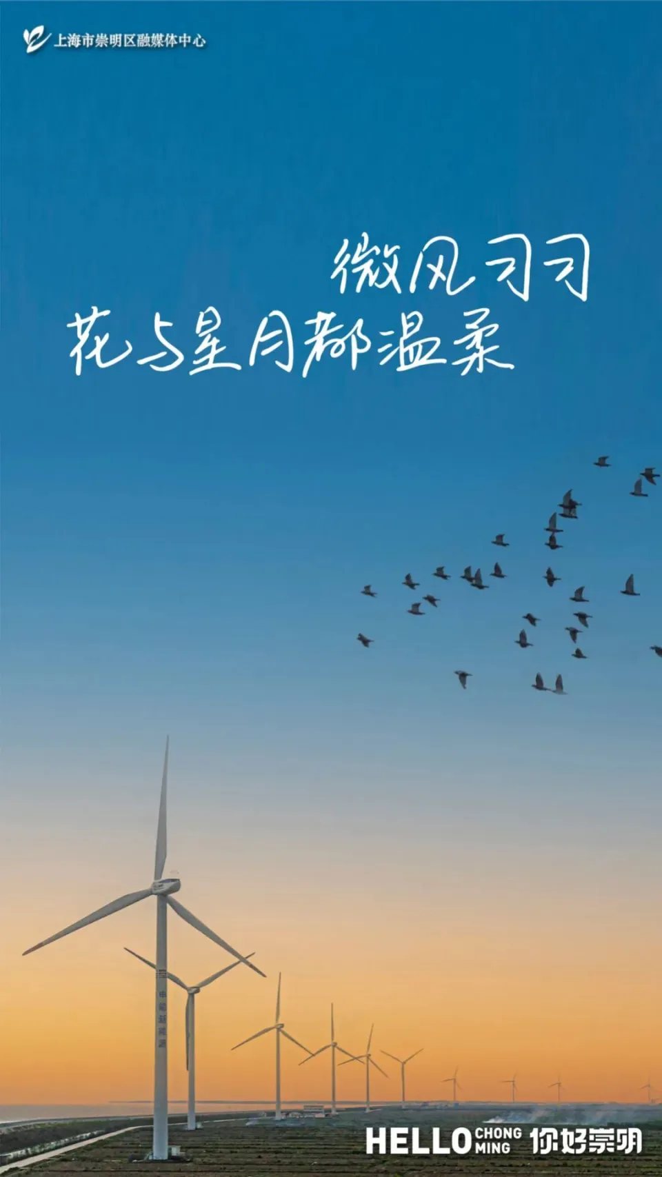 纯手机游戏公益_手机游戏公益行动_手机游戏公益服大全