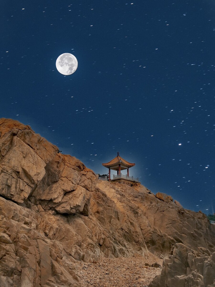 公交监控手机游戏_手机公交监控下载安装_公交监控视频