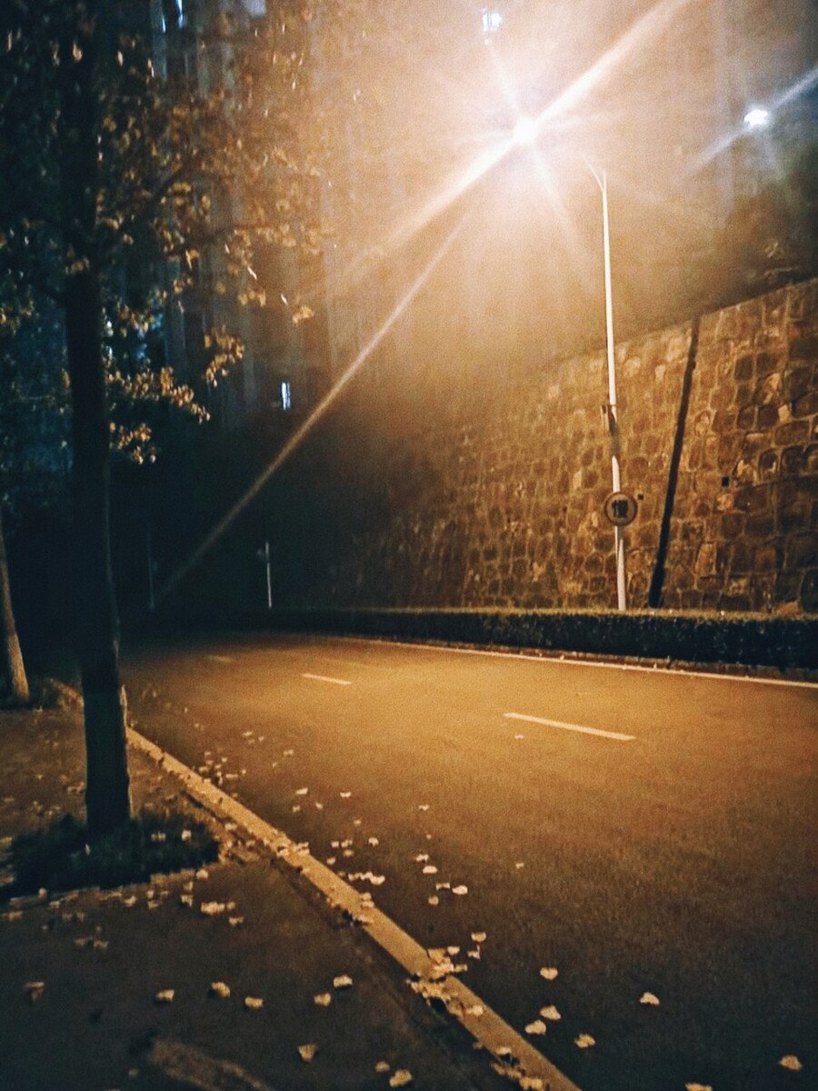 公交监控手机游戏_手机公交监控下载安装_公交监控视频