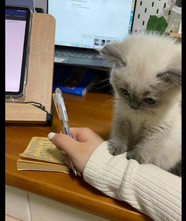 ong手机游戏_手机游戏推荐_手机游戏手游