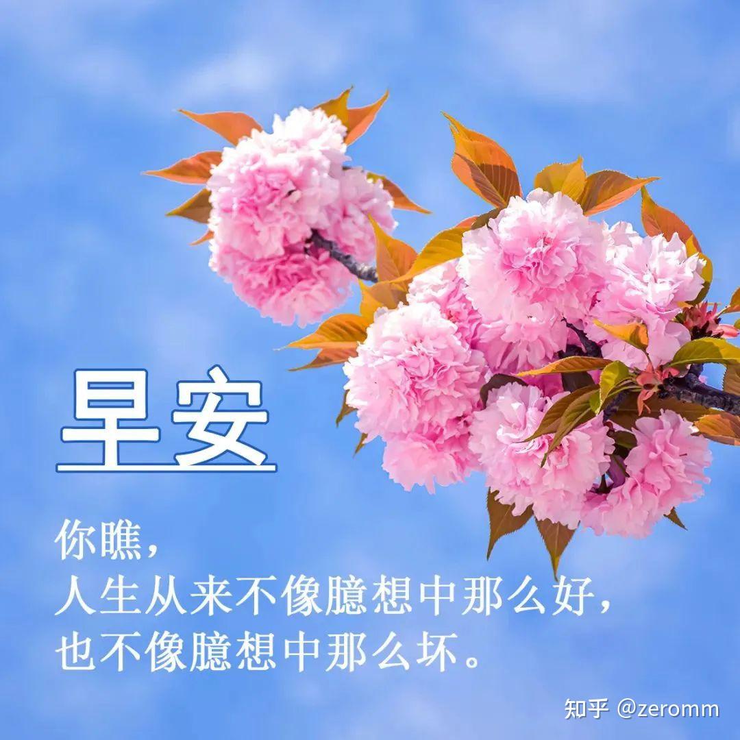 朝日奈_朝日奈_朝日奈