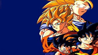 yy电影龙珠英雄11,yy查重免费入口