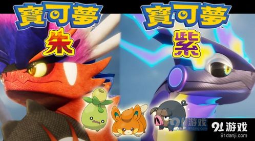 宝可梦xy道馆属性,宝可梦XY道馆属性概述