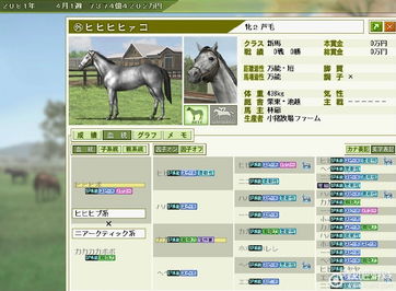 赛马大亨8看马器用管理员模式打开,管理员模式下的游戏攻略