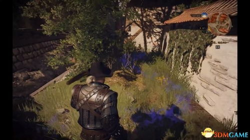 巫师3诺维格瑞吸血鬼任务,揭开黑暗之谜