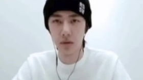 gs 美团,柊舞缇娜