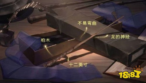 暗黑4法杖跟魔杖,法杖与魔杖的全面解析