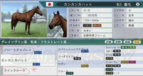 赛马大亨8赛马属性,赛马大亨8赛马属性解析