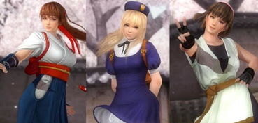 im fighter 死或生5,格斗艺术的视觉盛宴