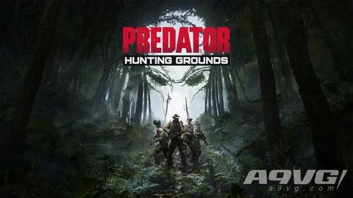 铁血战士游戏狩猎场,游戏背景与概述