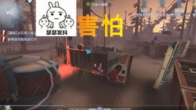 神鸭特攻pc,小碎步赶鸭子抓鸭子寻失主