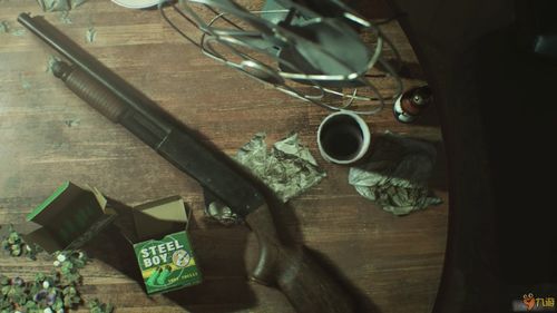 生化危机7兼容层,畅享游戏体验的必备指南