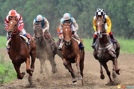 赛马大亨8 三冠赛程,lao肥耈计