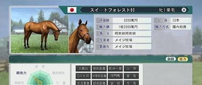 赛马大亨8建筑一览,赛马大亨82018中文版百度网盘