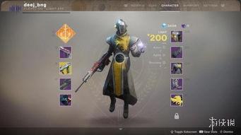 命运2大世界玩家,探索宇宙的守护者