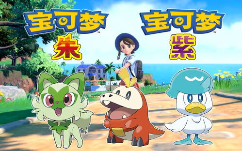 宝可梦朱·紫是单机吗,深入解析这款游戏的单机体验