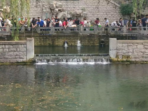 类收货日新游,2024年秋季游戏盛宴来袭